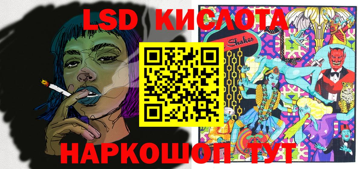 продажа наркотиков  Вход с VPN  Камышлов  Марки NBOMe 1500мкг  Марки NBOMe 1500мкг 